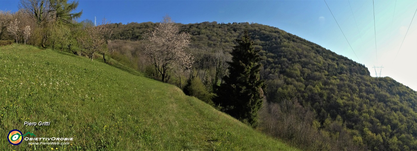 10 Poco sopra la Pernice prendo a dx il sentiero per la linea tagliafuoco.jpg